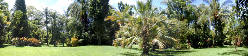 Great Lawn Hana Gardenland