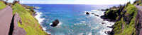 Hana Coastline