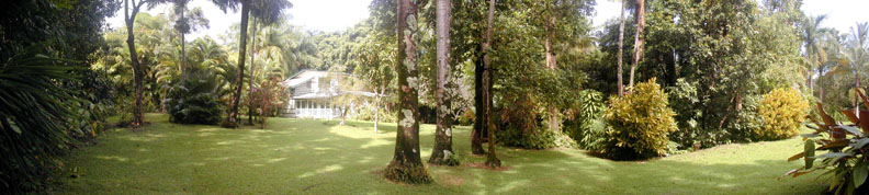 Palms House Hana Gardenland