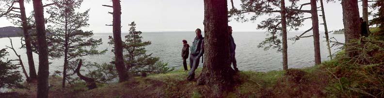 Seldovia Point Profiles