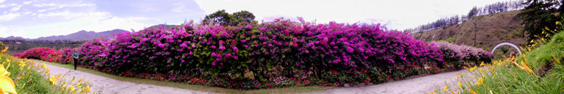 Mi Jardin in Boquete