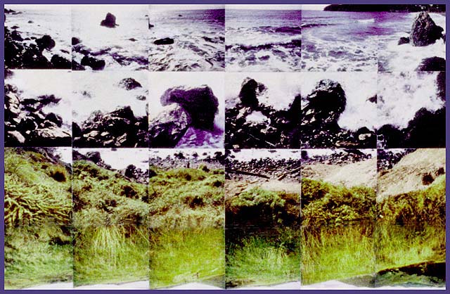 Pacific Coast