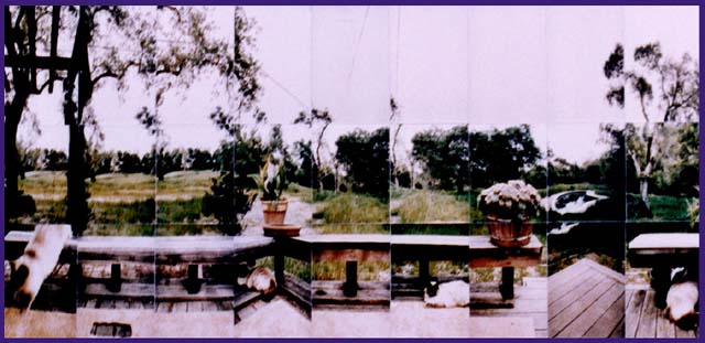 Napa Valley Porch
