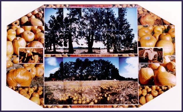 St. Vincent Pumpkin Field