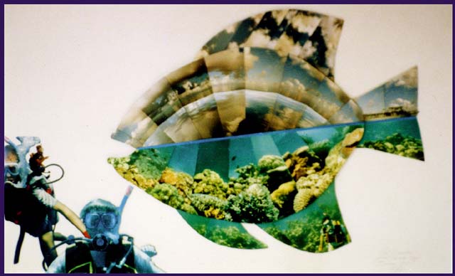 Diving on the Great Barrier Reef