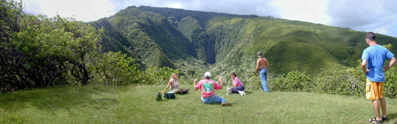 Waimoku Falls
